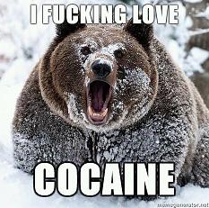 cocain bearRRRR.jpg
