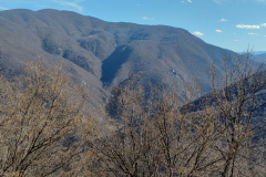 20190317_150806