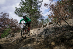 DSC6807_edit