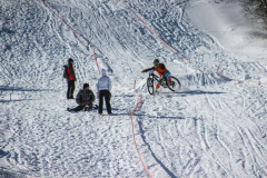 IMG_4351