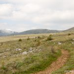 Байк и рън за Чепън 2017