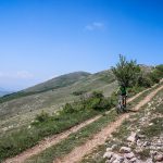 Байк и рън за Чепън 2018