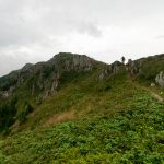 Балканче 2014