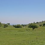 Велорали из Врачански Балкан 2012