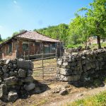 Гара Лакатник - Дружево - Миланово