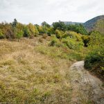 Гложене - Гложенски манастир