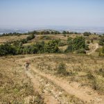 Гложете - Тетевен - Бабинци - билото
