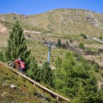 Suzuki Nine Knights 2016