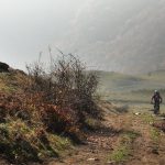 Малешевска планина