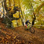 Конгур Air DH 2015