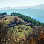 Краищe