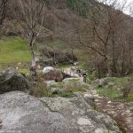 Крупник