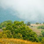 Купа Мургаш 2015