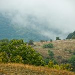 Купа Мургаш 2015