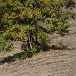 Купа Мургаш Maxbike 2012