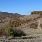 Купа Мургаш Maxbike 2012