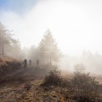 Владо Тричков