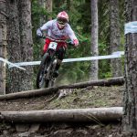 Мечи чал DH 2018