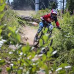 Мечи чал DH 2018