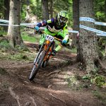 Мечи чал DH 2018