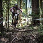 Мечи чал DH 2018
