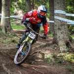 Мечи чал DH 2018