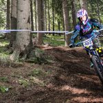 Мечи чал DH 2018