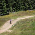 Мечи чал DH 2018
