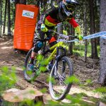Мечи чал DH 2018