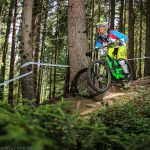 Мечи чал DH 2018