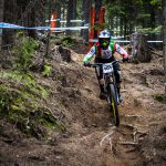 Мечи чал DH 2018