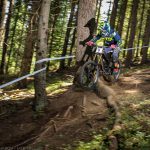 Мечи чал DH 2018