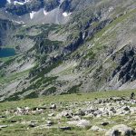 Rila