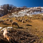 От Симитли до снега и обратно