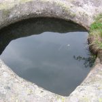 PU_2004