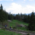 PU_2004