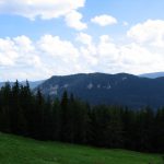 PU_2004