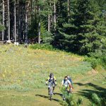 Перпендикулярна Вселена 10