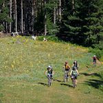 Перпендикулярна Вселена 10