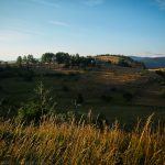 Перпендикулярна Вселена 10