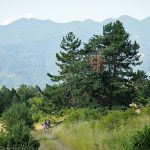 Перпендикулярна Вселена 10