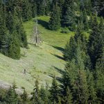 Перпендикулярна вселена 11