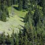 Перпендикулярна вселена 11