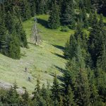 Перпендикулярна вселена 11