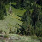 Перпендикулярна вселена 11