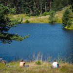 Перпендикулярна вселена 12