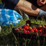 Перпендикулярна вселена 12
