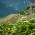 Перпендикулярна вселена 12