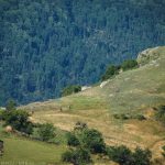 Перпендикулярна вселена 12