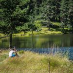 Перпендикулярна вселена 12